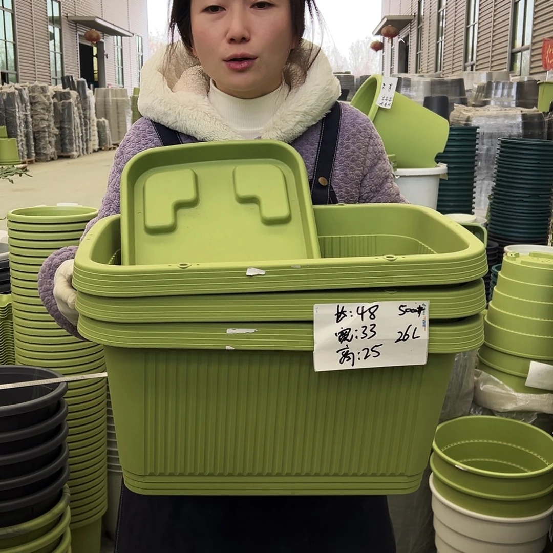 菜盆500#果绿3个（含托）