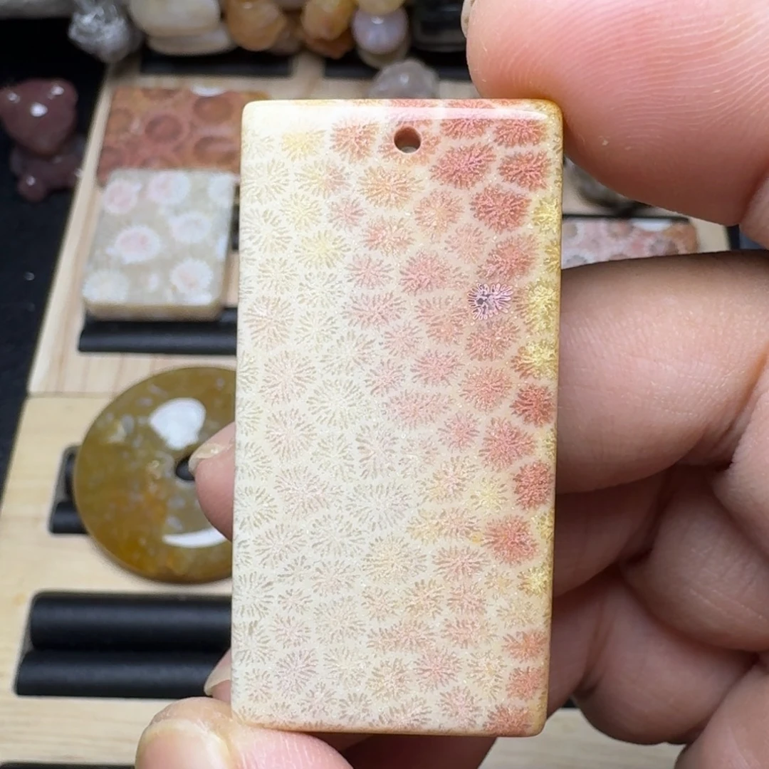 硅化珊瑚（珊瑚玉）未镶嵌纯天然色有机玉石保真色