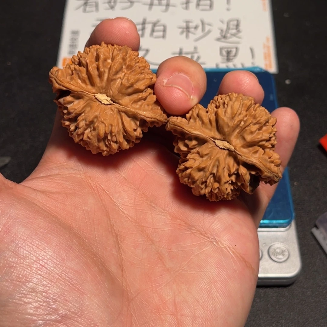 44全品原桩满天星