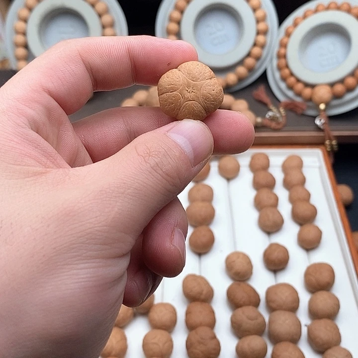 吊坠凤眼菩提举**子尼泊尔菩提五星