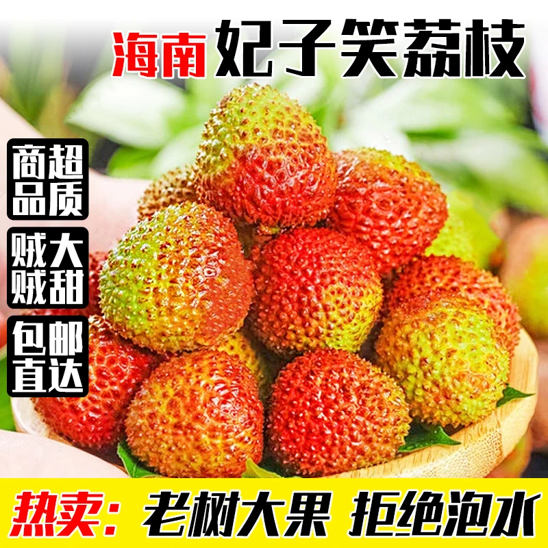 【空运包邮】海南妃子笑荔枝时令鲜果老树荔枝香甜多汁现摘现发精选