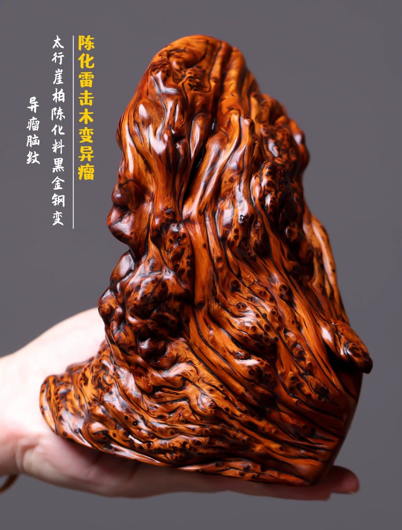 太行陈化料雷击木变异瘤脑纹，长14宽8高17重1.8斤