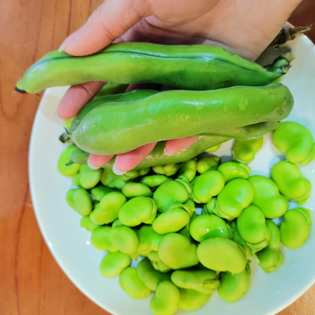 新鲜带壳蚕豆   新鲜蔬菜  京东生鲜发货