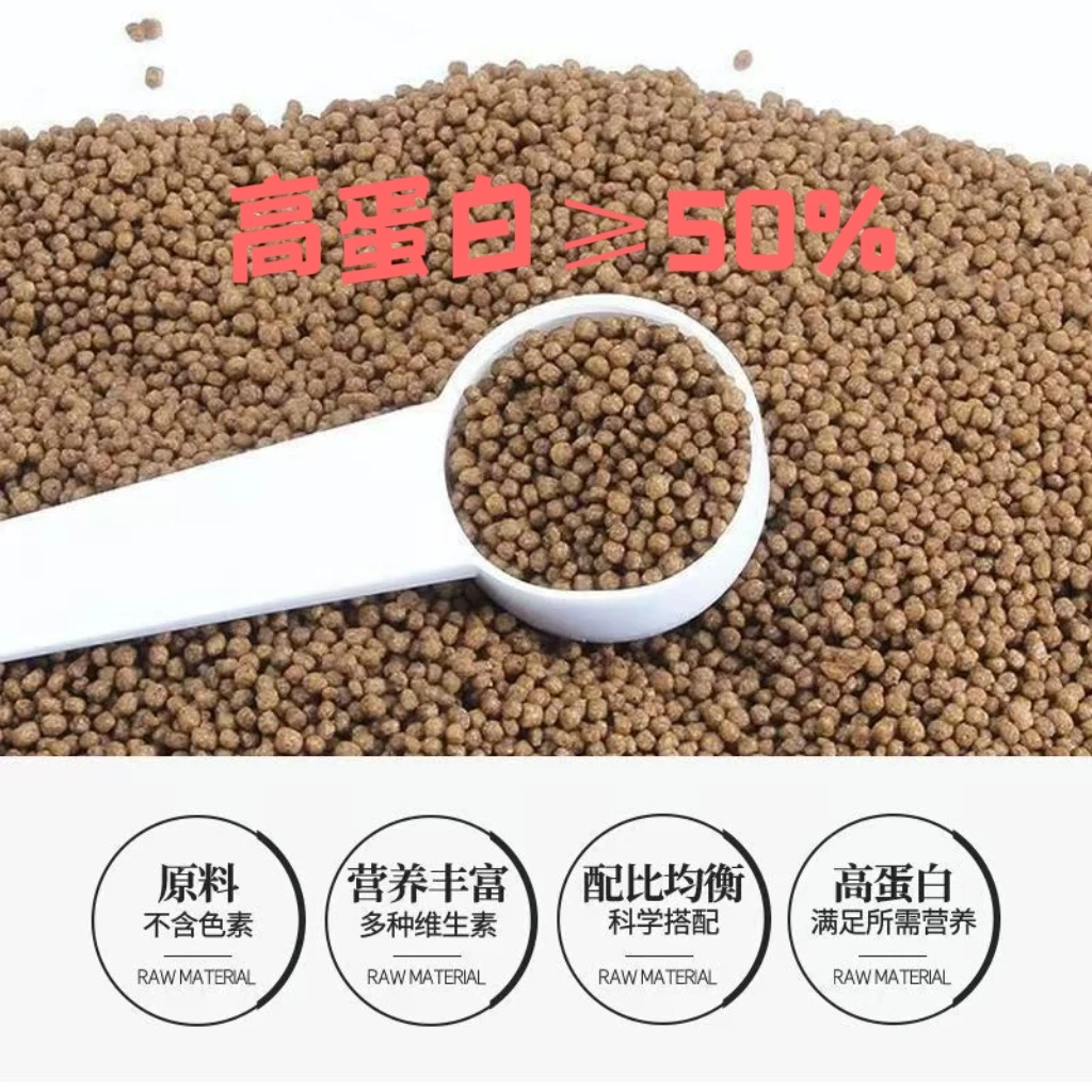 兰寿泰狮金鱼冷水上浮鱼粮观赏鱼粮起头发色增艳不浑水饲料