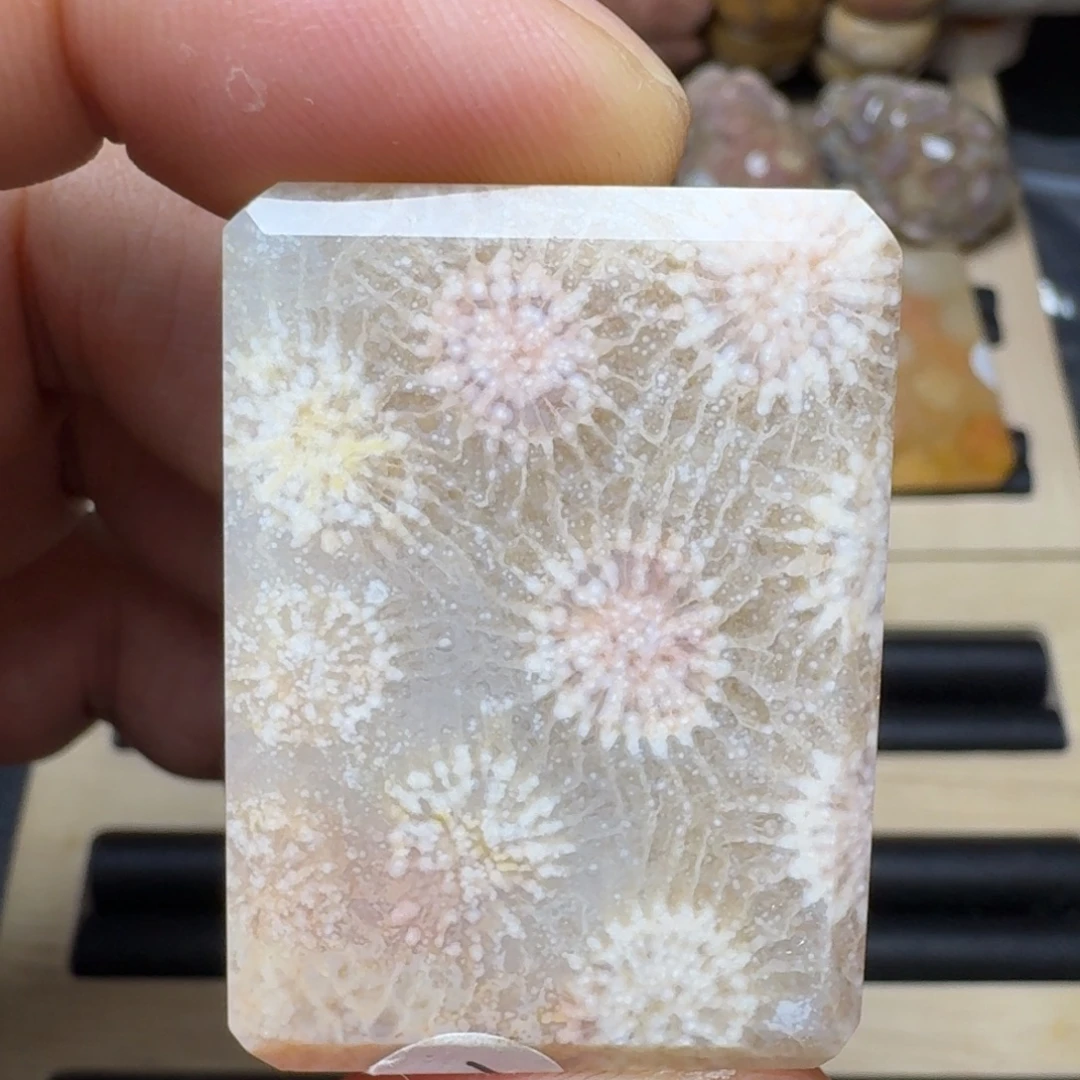 硅化珊瑚（珊瑚玉）未镶嵌纯天然色有机玉石保真色