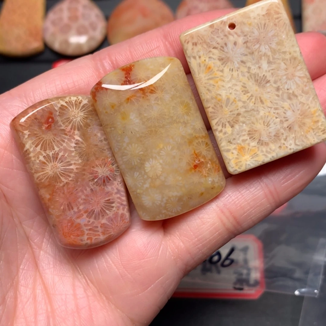 【闪购商品】硅化玉颈饰未镶嵌