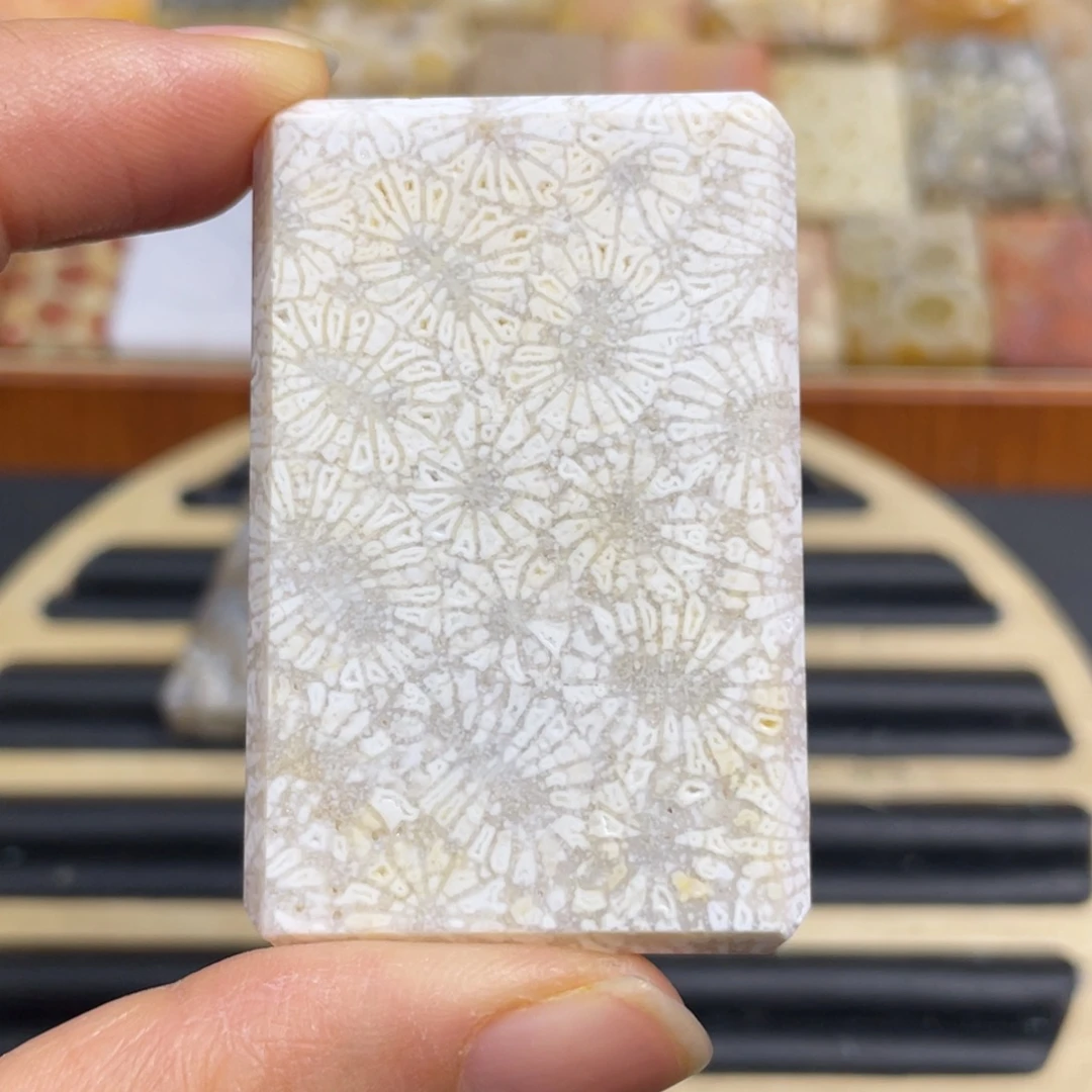 硅化玉未镶嵌颈饰k22