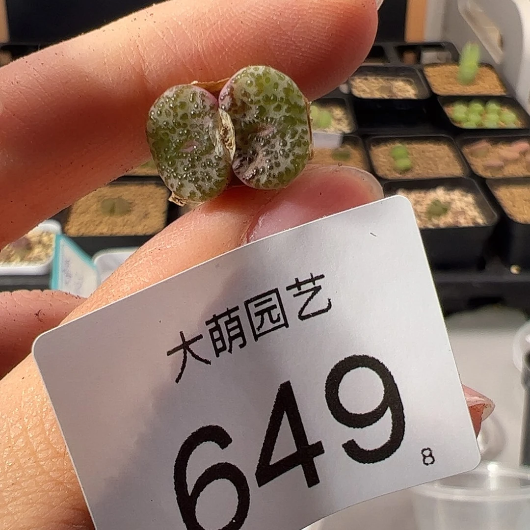 0000649 一物一拍。