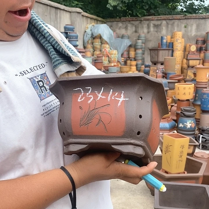 紫砂花盆盆栽花卉种植