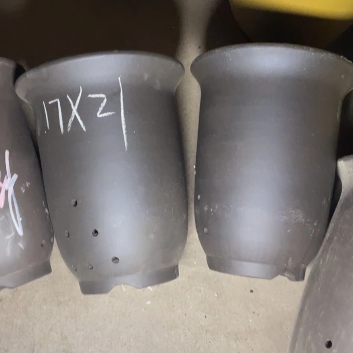 紫砂紫砂紫砂紫砂紫砂