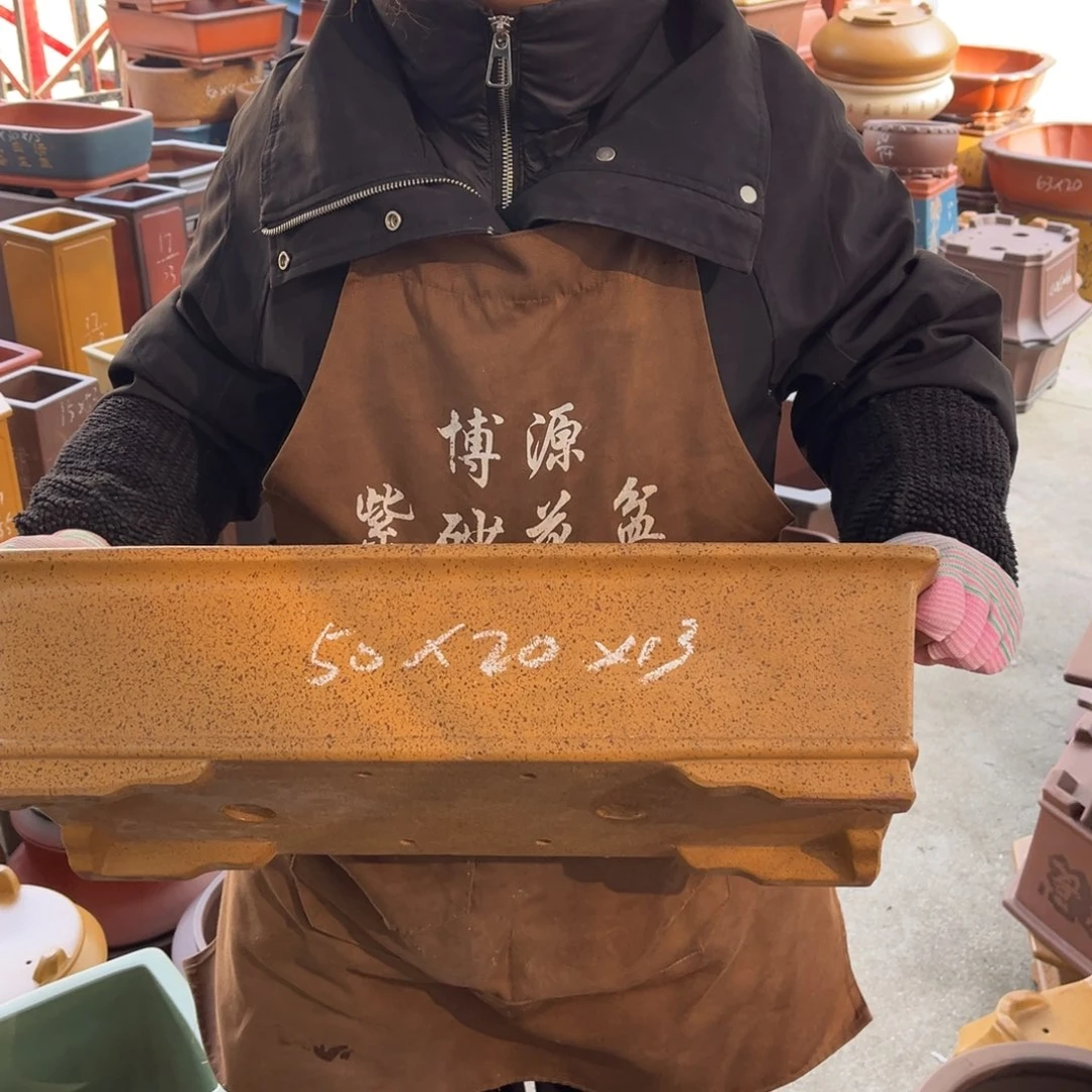 花盆紫砂盆景艺术