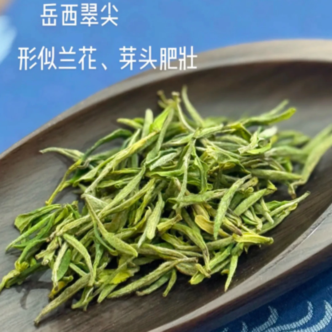 2025春茶大别山高山云雾茶明前岳西翠兰125g~500g