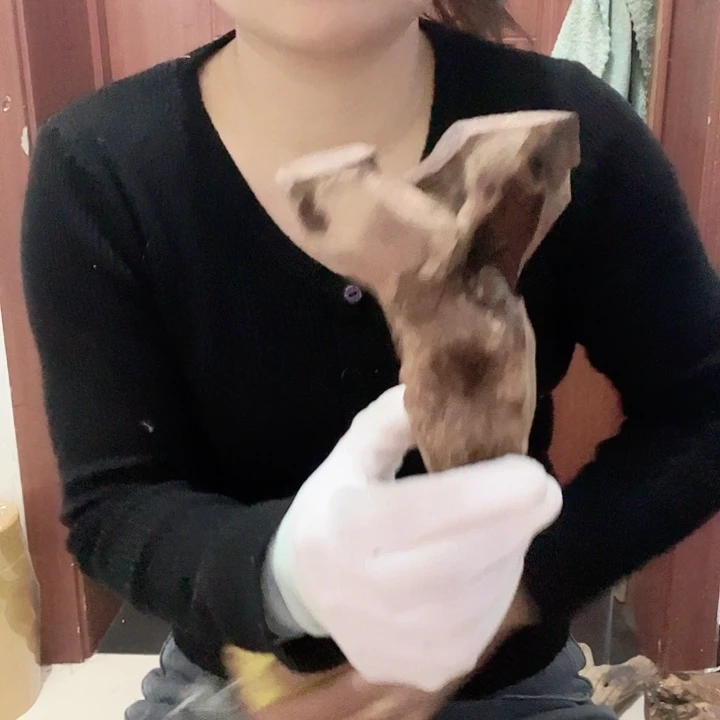香榧木呜呜呜呜好帅呜呜