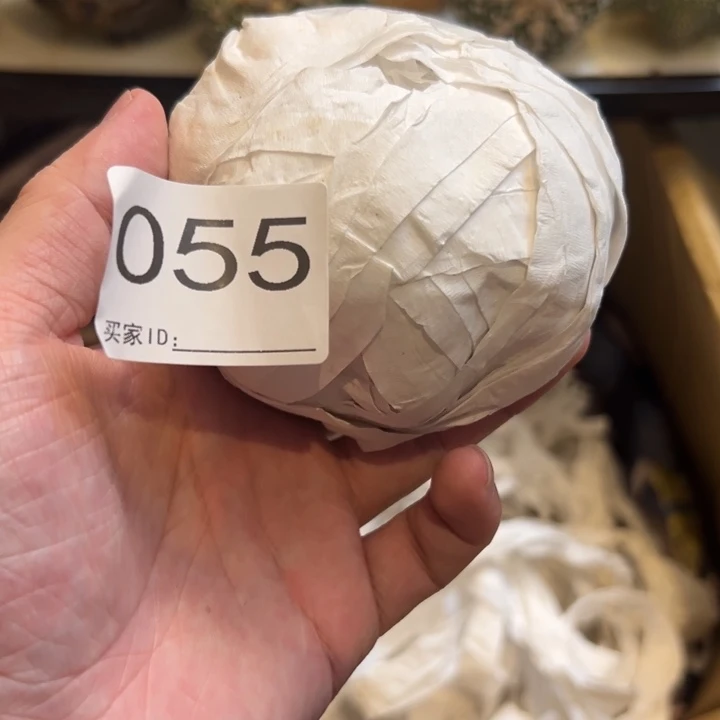 L***L兜星球仙人球055号球