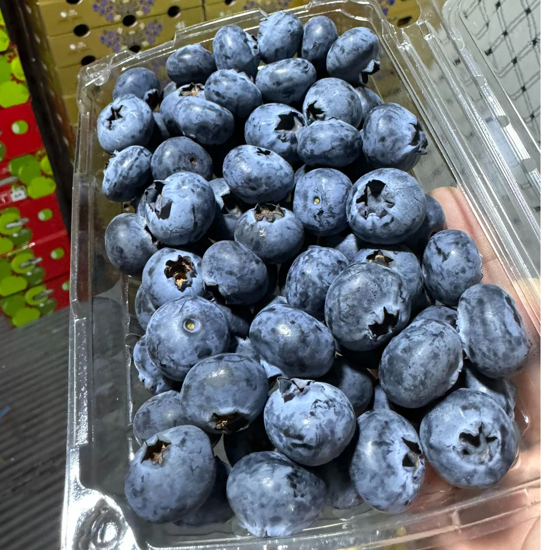 云南乐拉蓝莓晴蓝精美礼盒蓝莓果径22mm 2斤4装