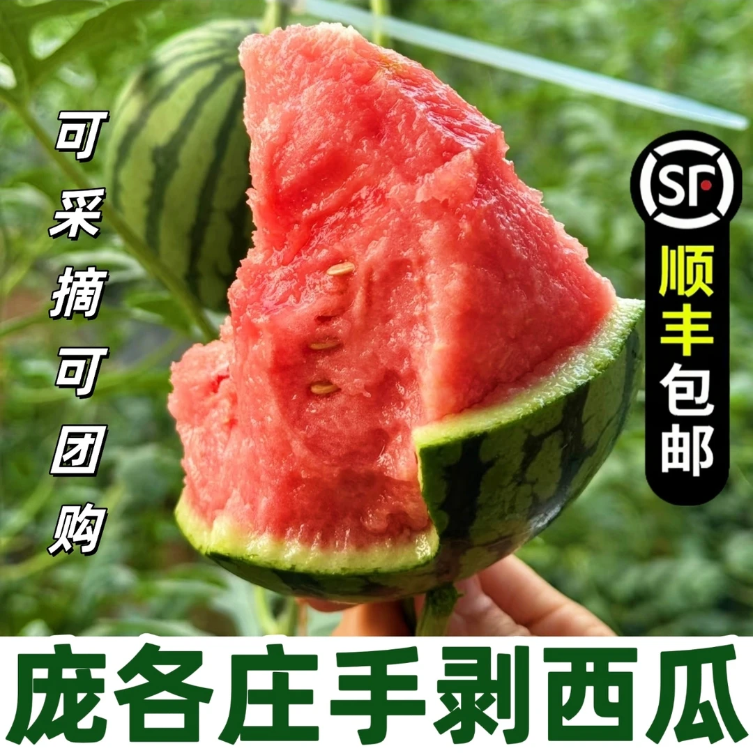 庞各庄袖珍小西瓜小糖丸西瓜单果2斤起脆沙甜薄皮新鲜水果自然