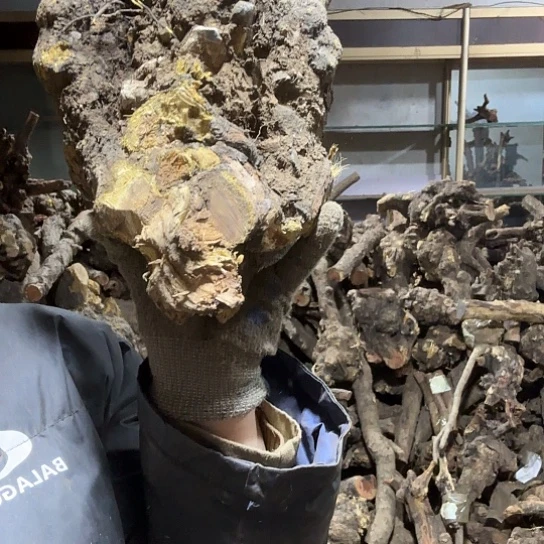 香榧木好***字火琉璃的毛料摆件