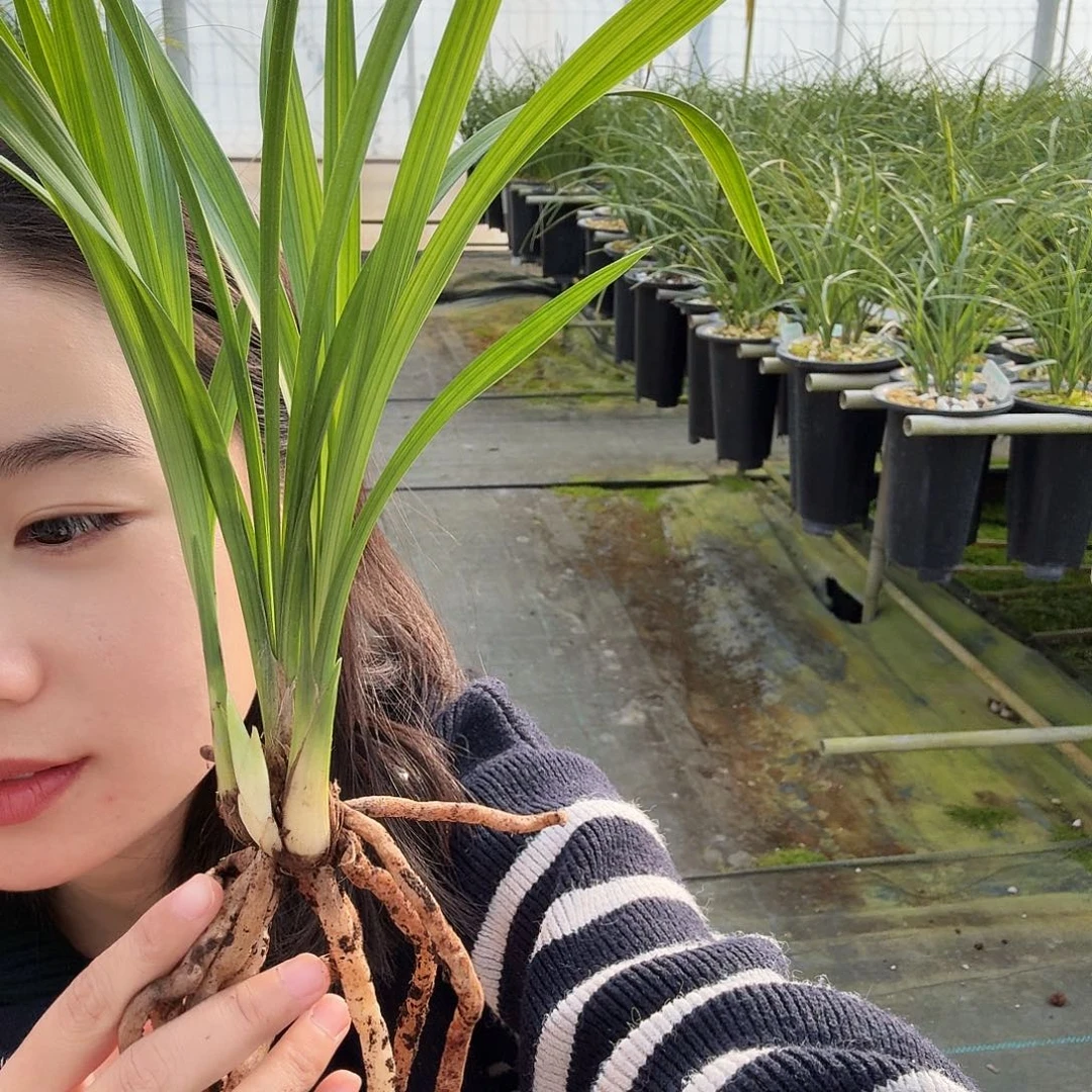 天***阔完全开放12335589000