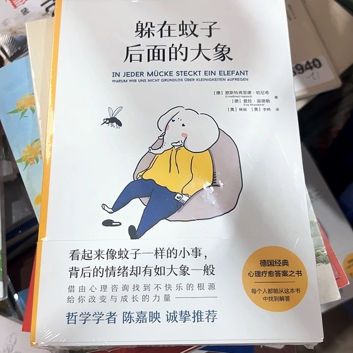 躲在蚊子后面的大象