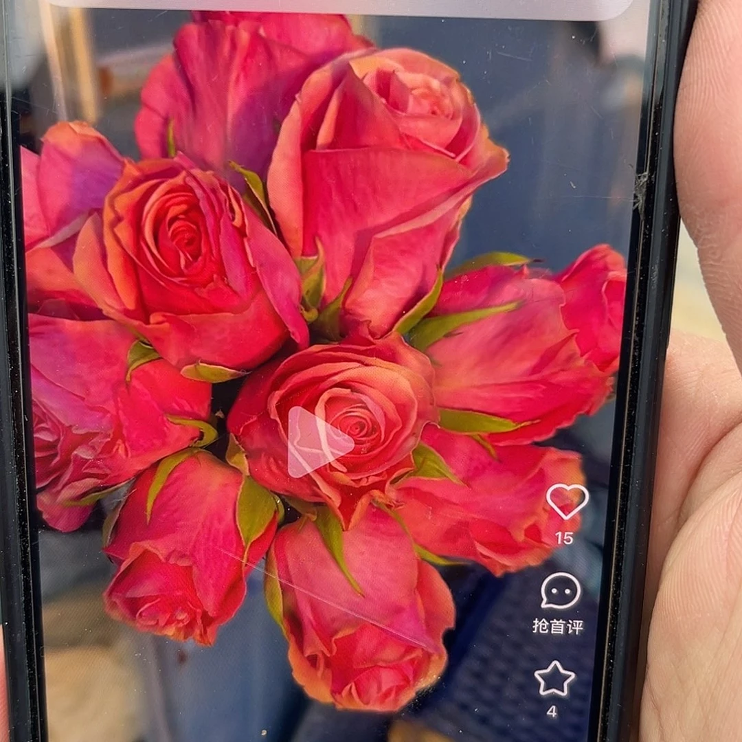 无花朵————浅粉精灵 福利款