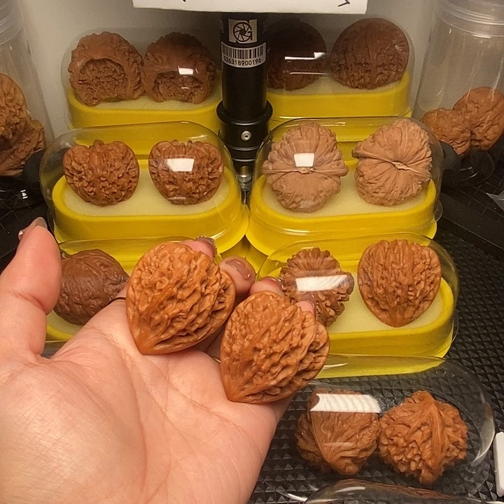 归****39龙门 高尖