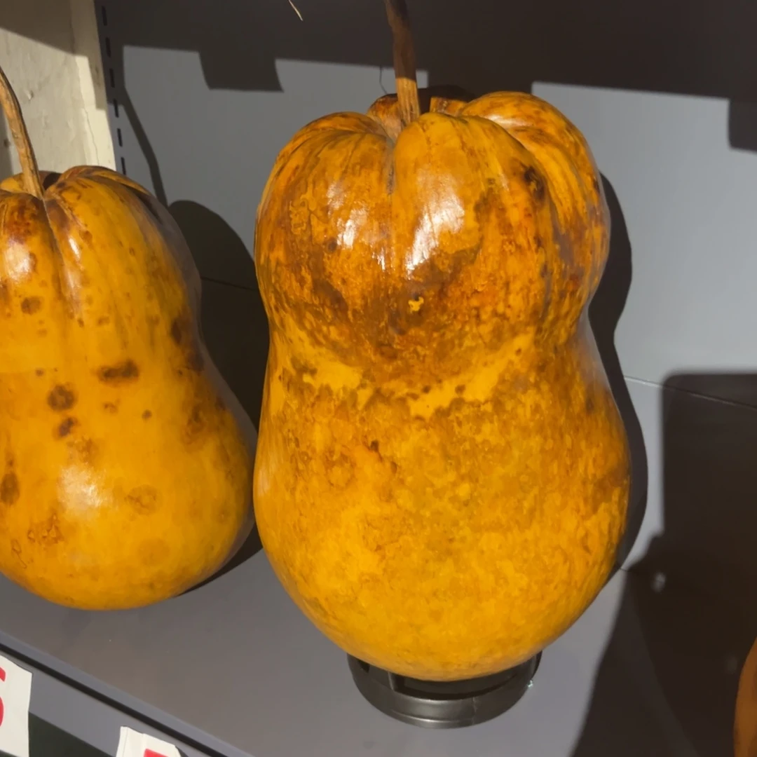 慧***湛不包邮带底座全品莲花头