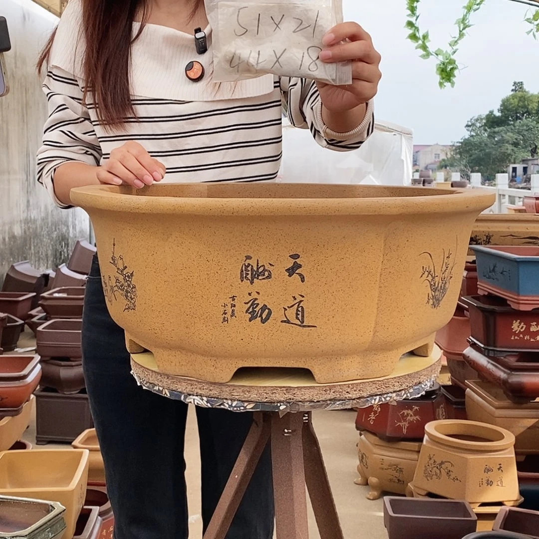 花盆紫砂紫砂花盆