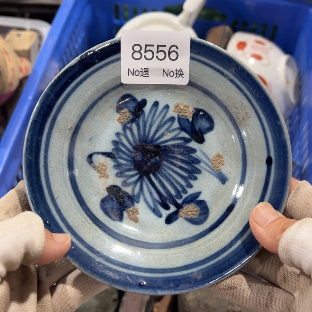 秋***野双55667788202509178556