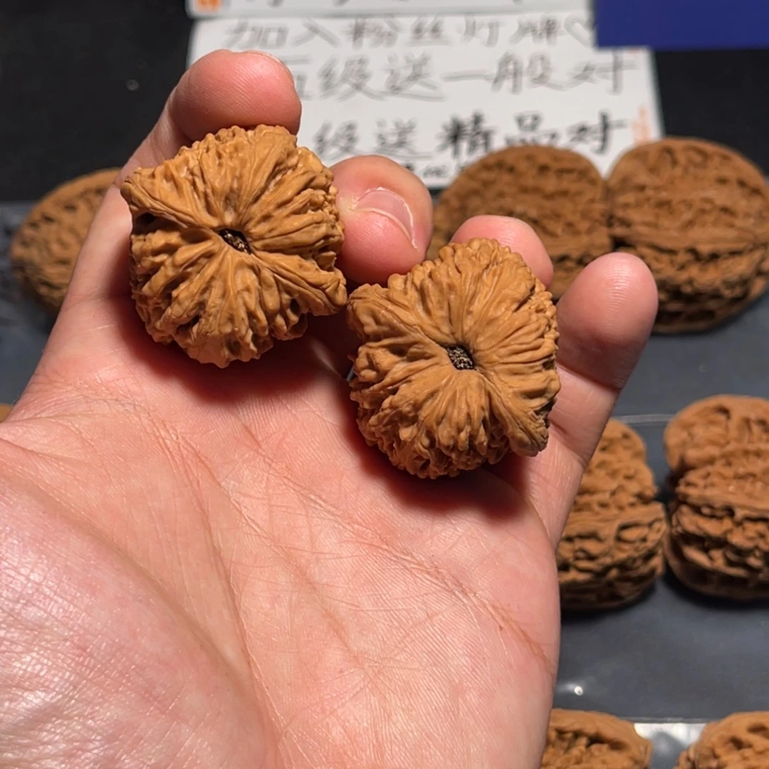 36全品红皮涿鹿球将