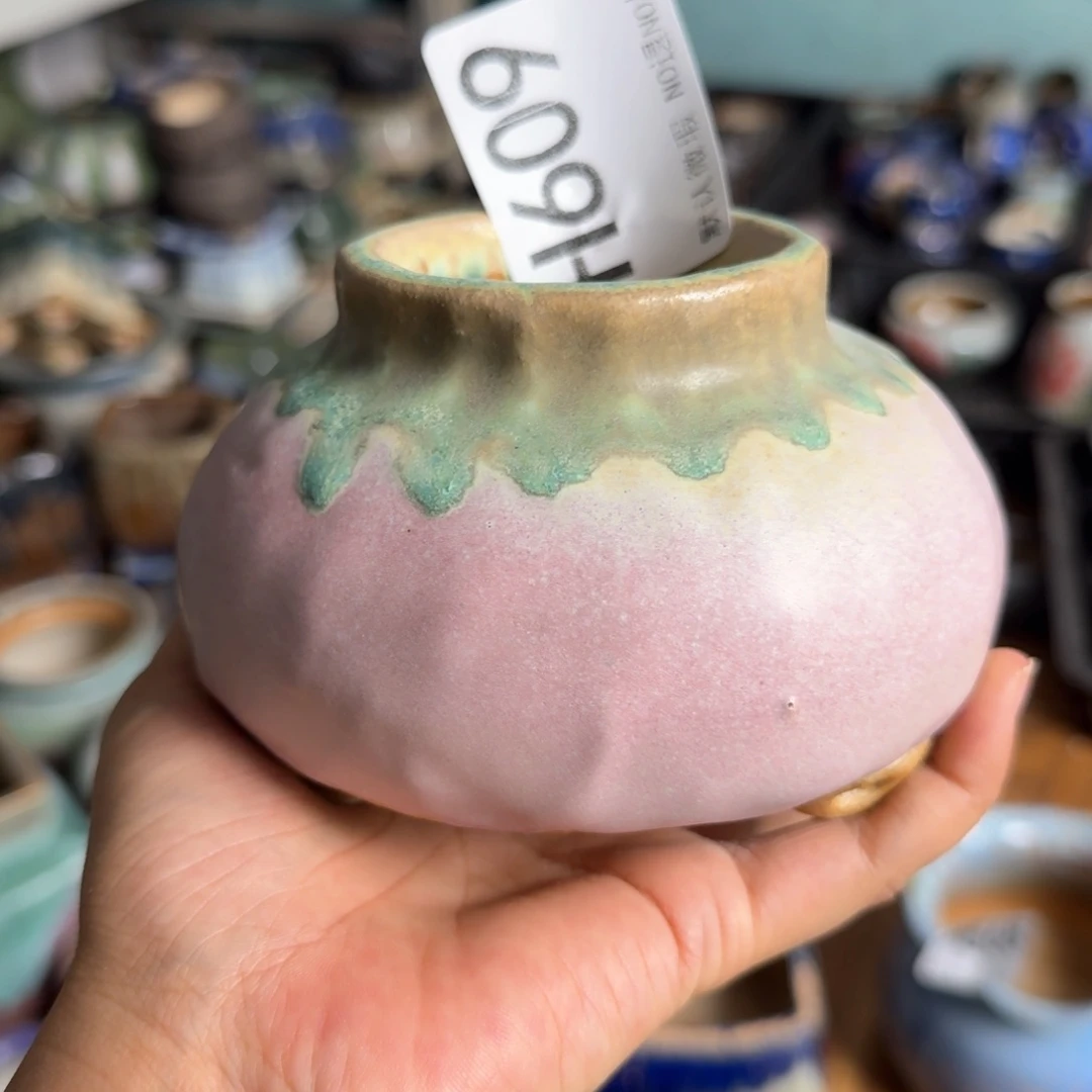 重庆一侧小燕子欢迎大家609