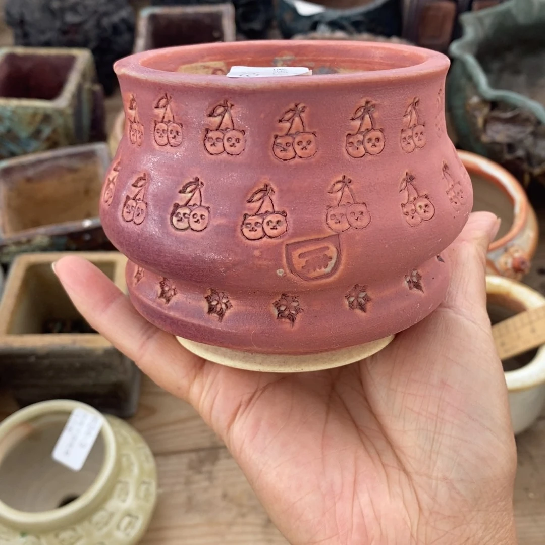 6号多肉盆口径8一卌