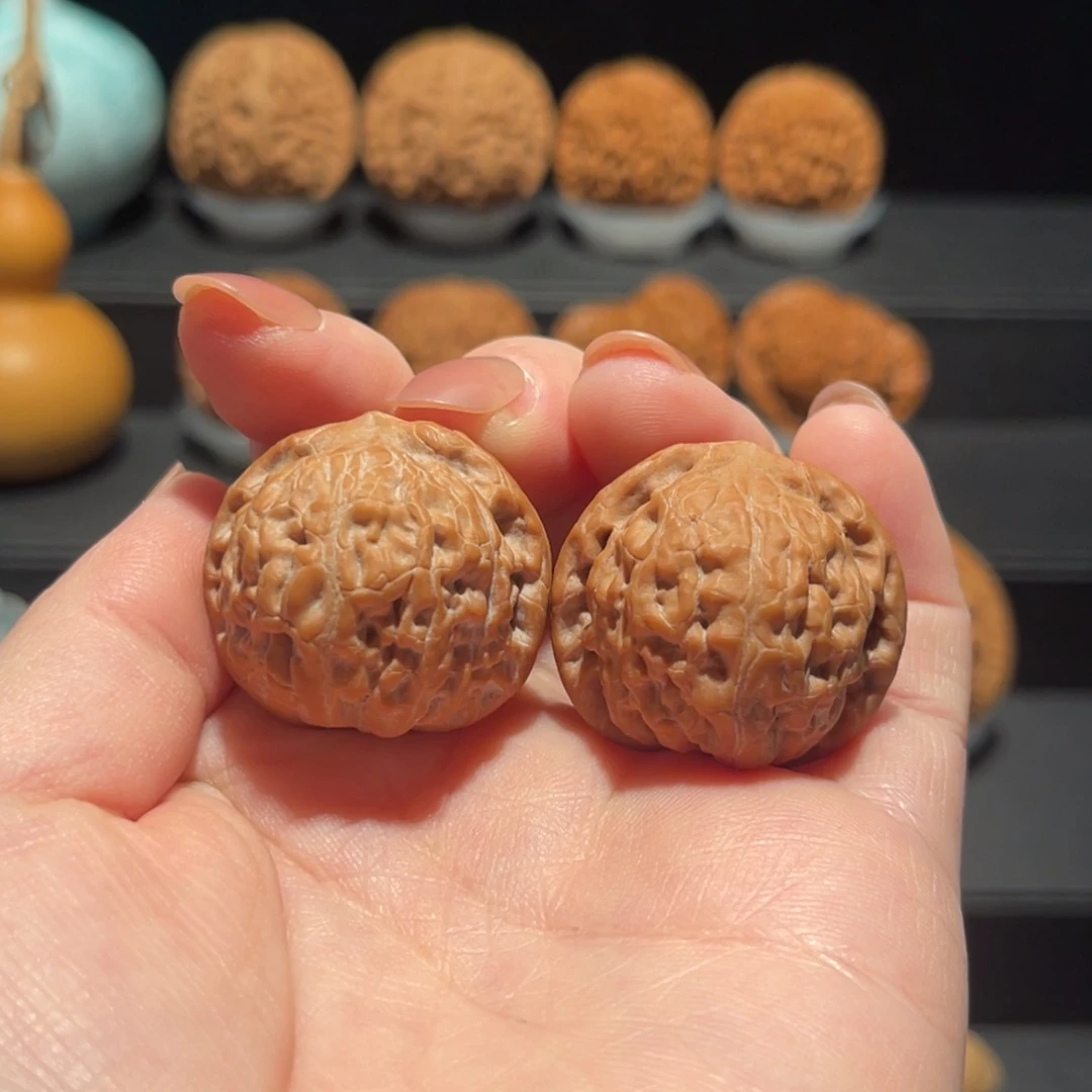 野生，小莲花30精品