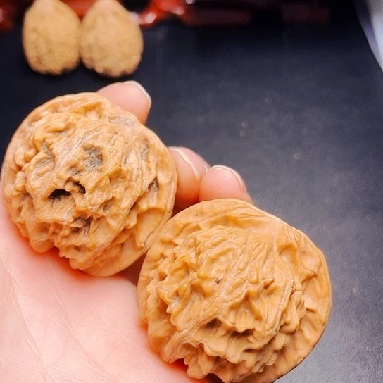 大叶紫檀（黑酸枝木类）会****8