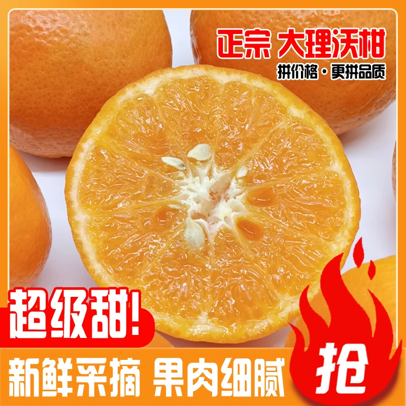 大理沃柑 新鲜采摘 果肉细腻