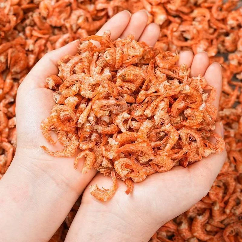 湖南特产淡水无头小河虾