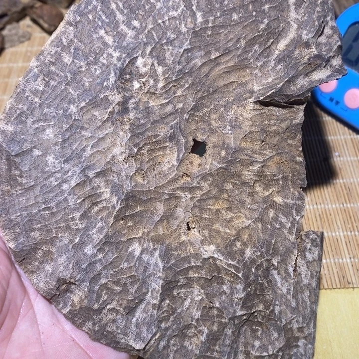 沉香沉香碎屑海南