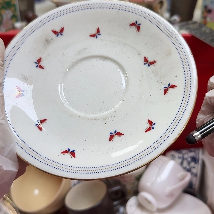 瓷片星*开播啦….开播啦