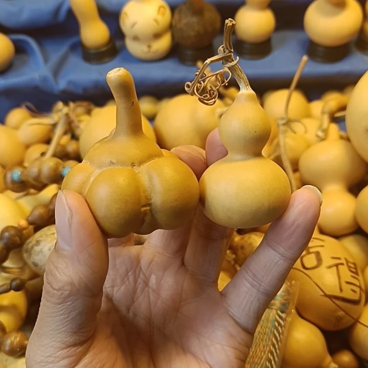 直播间专供链接葫芦