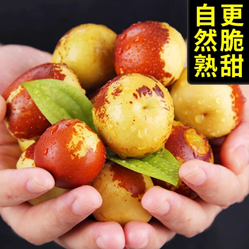 脆甜冬枣现摘现发包邮无酸冬枣产地大荔冬枣直发新鲜当季水果冬枣