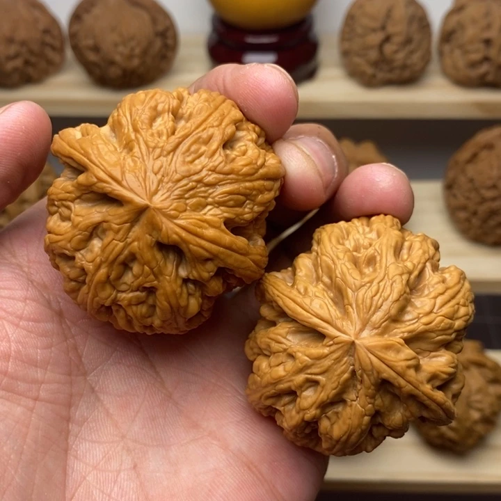 把件核桃45尺全品大粗筋