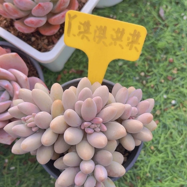 健健康康平平安安