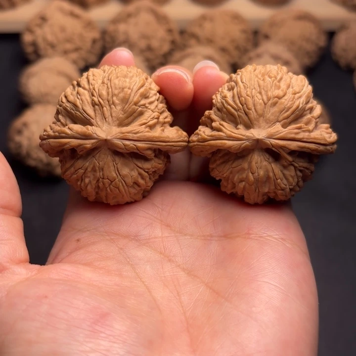 把件文玩核桃42白狮子