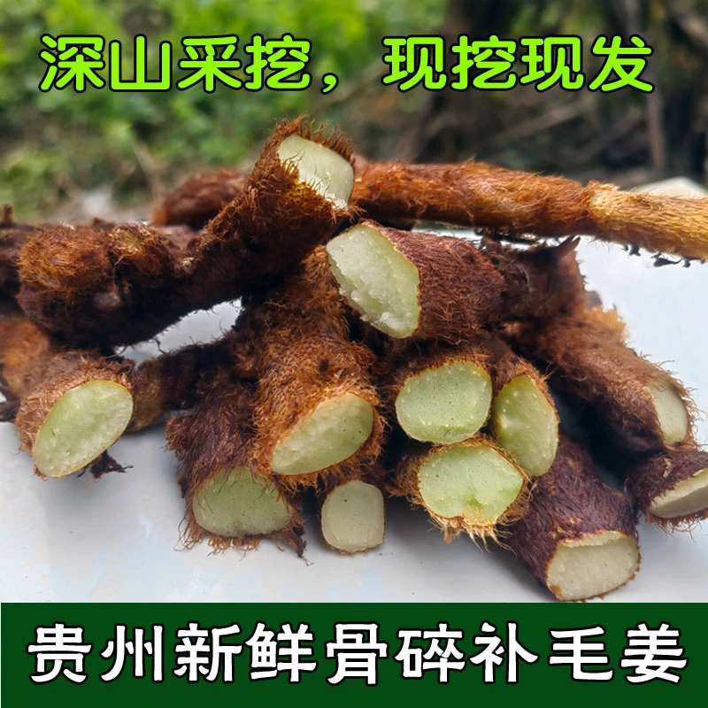 贵州现采骨碎补中药材新鲜毛姜爬岩姜接骨猴姜肉碎补包邮煲汤泡酒