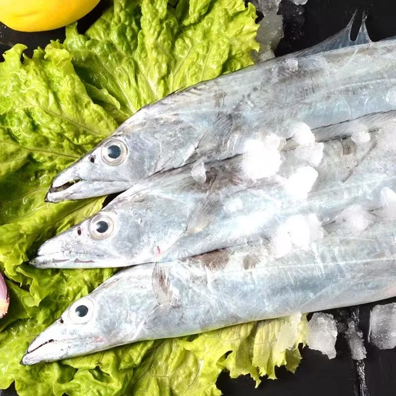 新鲜速冻带鱼 整条