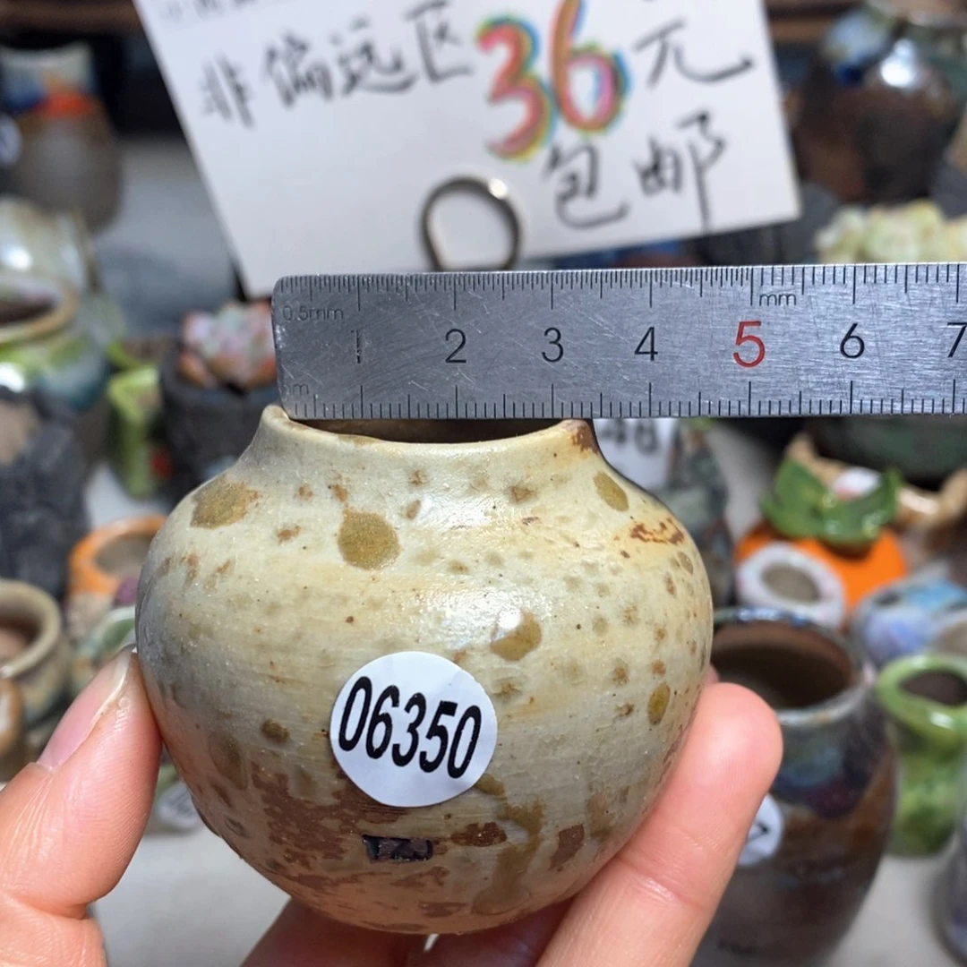 拍5送一个小礼物花盆