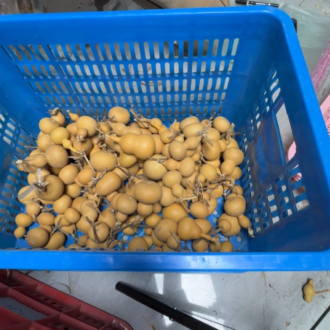 郭***末葫芦1111111111111