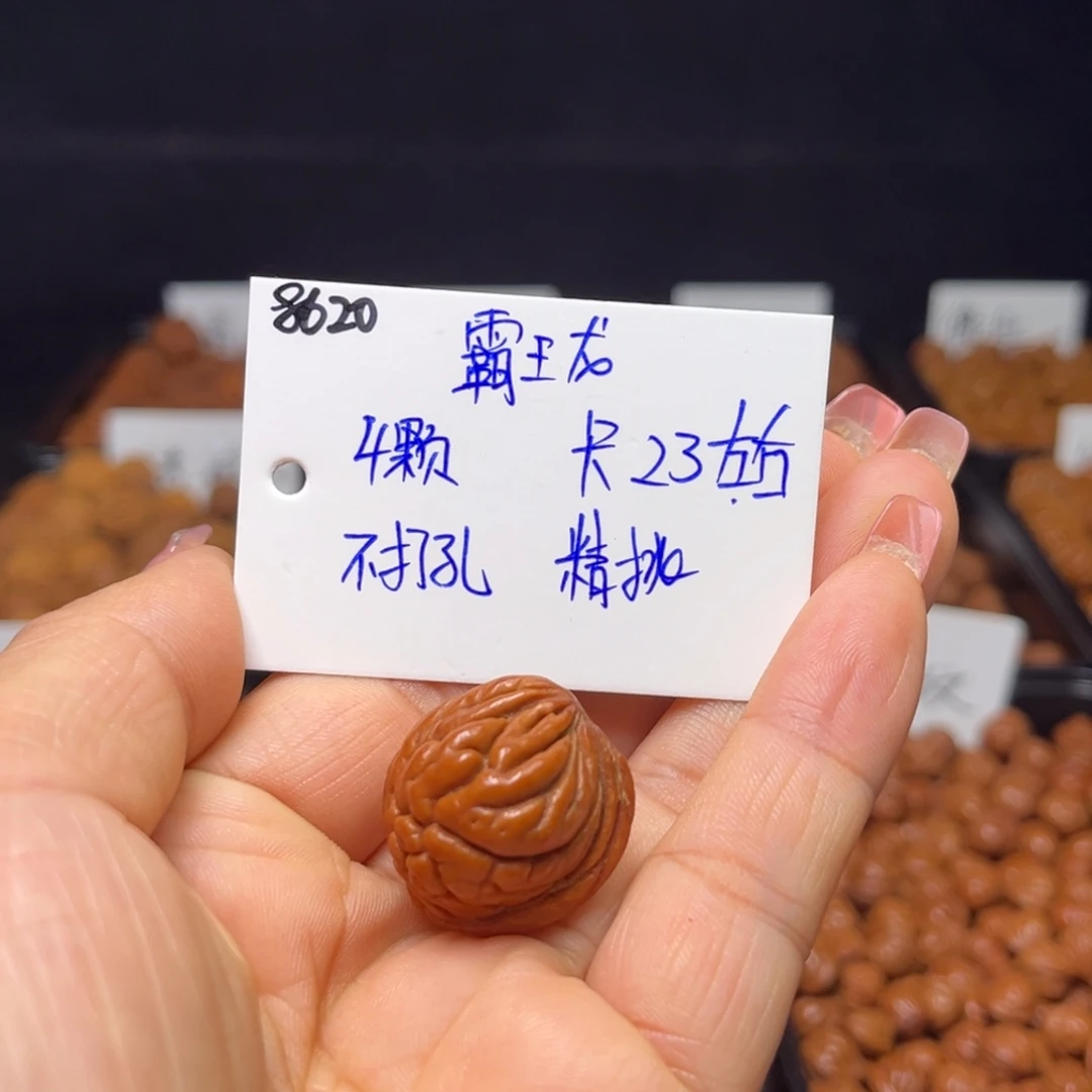 非***凡手串桃核霸王龙23左右4颗
