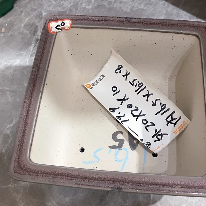 好***树紫砂花盆紫砂花盆