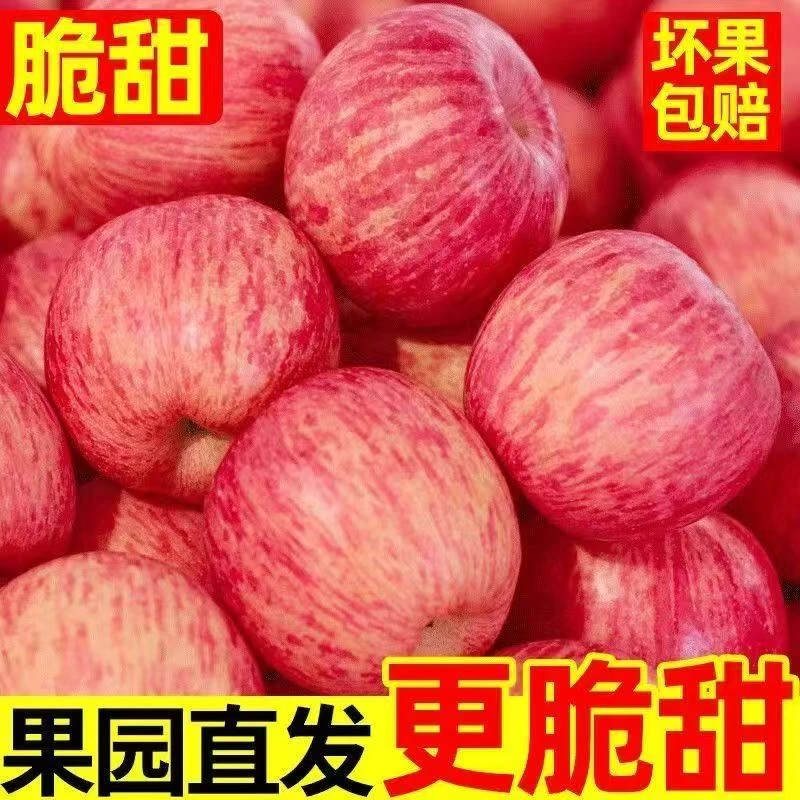 正宗富士苹果新鲜应季脆甜多汁当季水果
