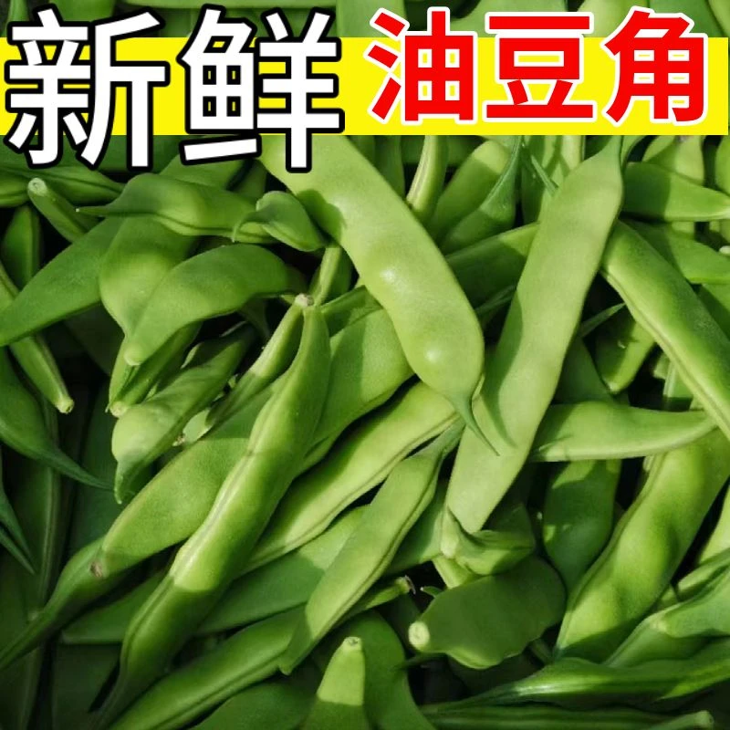 东北豆角正宗东北油豆角新鲜九月青豆角1斤3斤5斤包邮
